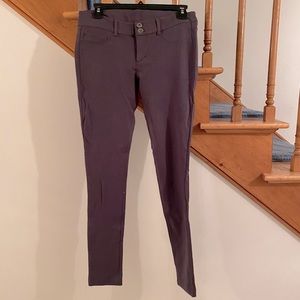 Express Charcoal Pants